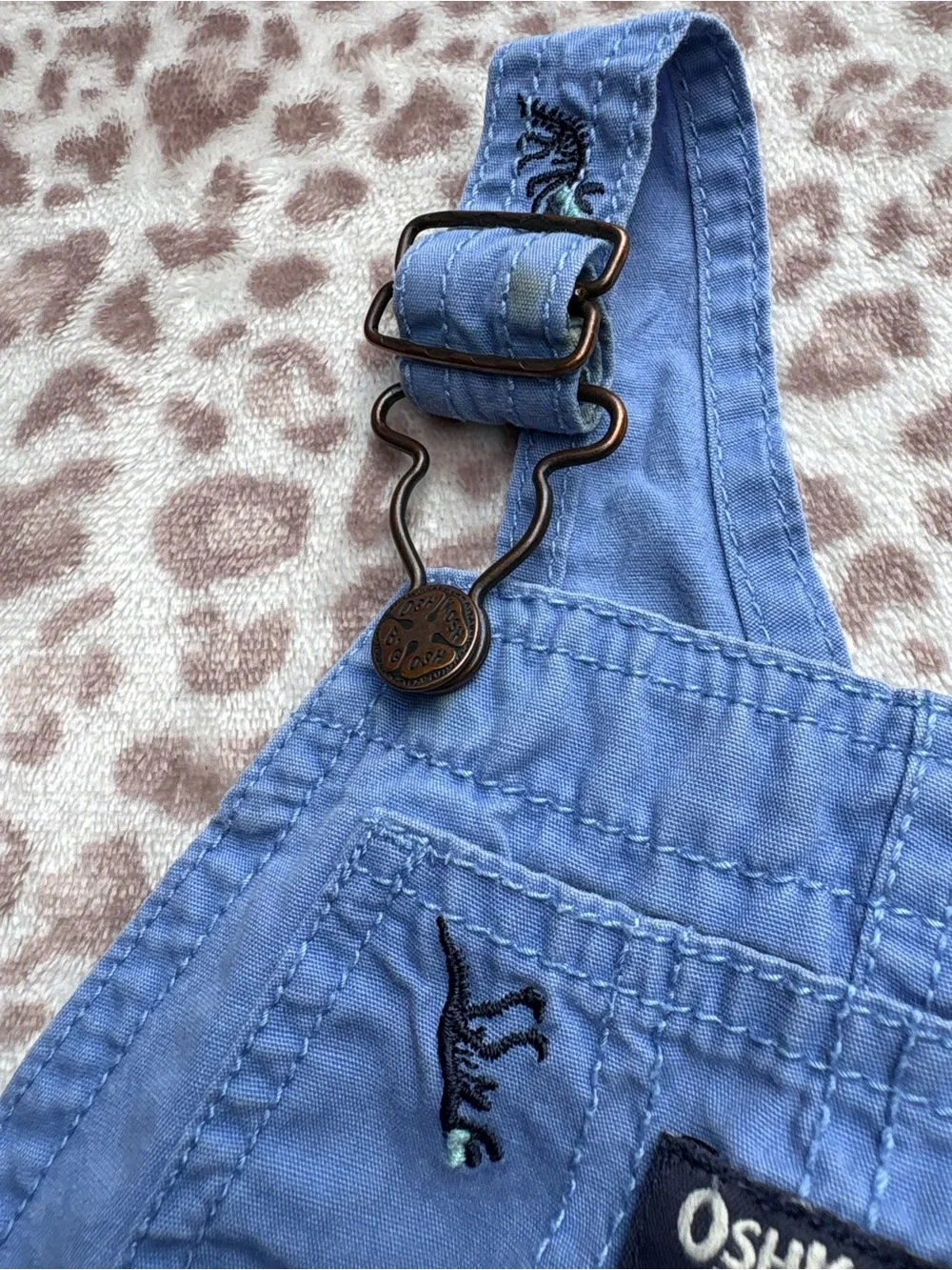 OshKosh Bgosh stains from